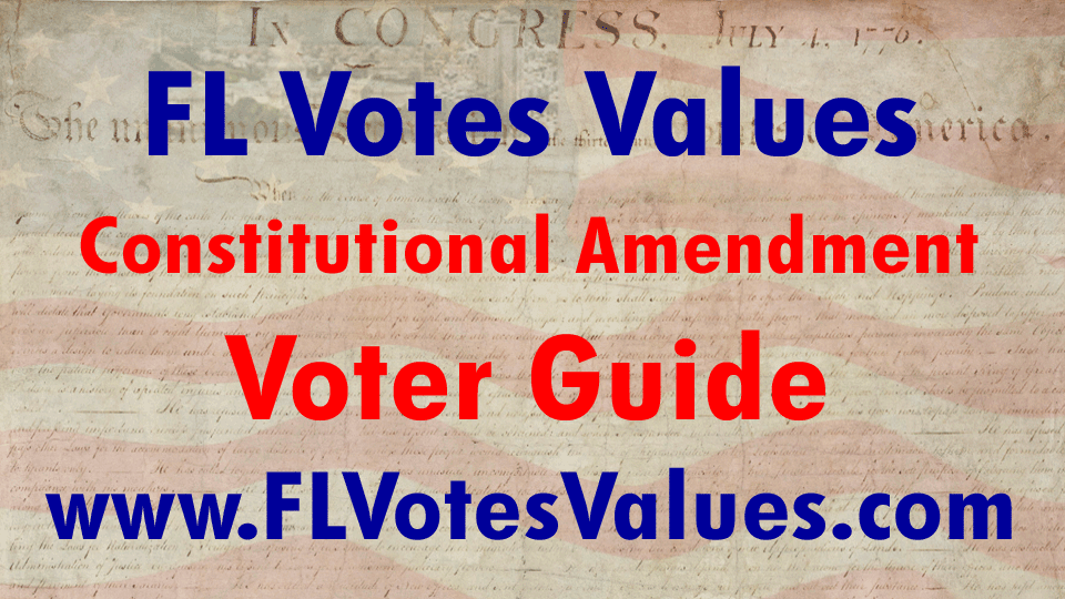 Get Your Florida Constitutional Amend Florida Votes Values